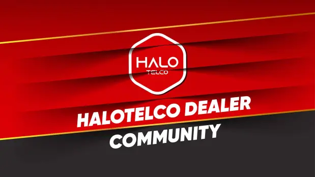 halo telco executive partner